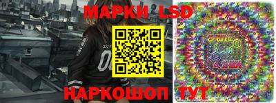 тгк Бердск