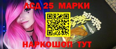 тгк Бердск