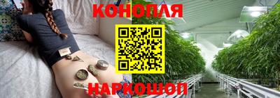 тгк Бердск