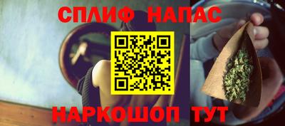 тгк Бердск