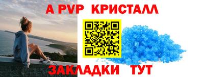 тгк Бердск