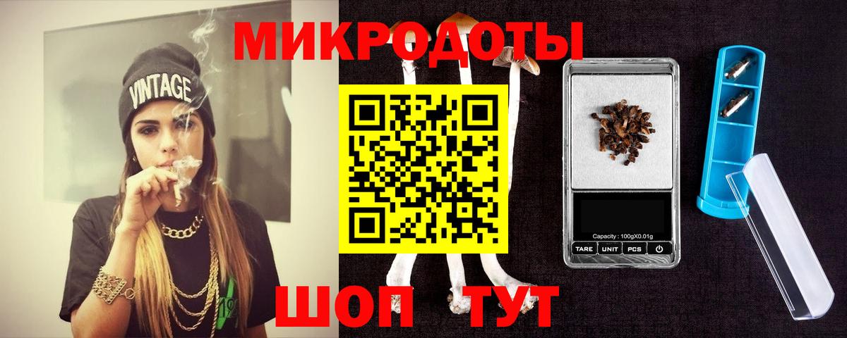 Галлюциногенные грибы Psilocybe Вязьма
